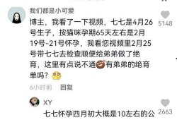 娱乐圈吃瓜抖音博主是谁,抖音博主背后的故事