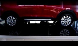 哈佛最新爆料新闻视频