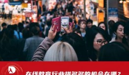 拼了在线观看,一场惊心动魄的冒险之旅