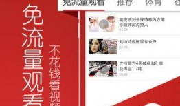 遂溪爆料头条视频大全,视频大全精彩回顾