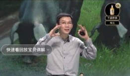 古董商角色爆料视频播放,珍贵古董背后的故事与价值