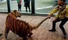 美国饲养员爆料新闻事件,背后真相令人震惊