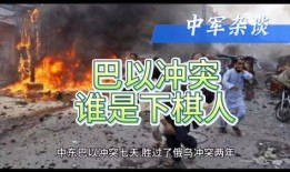 俄乌大鱼爆料视频最新版,大鱼视频揭示惊人内幕