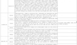 飓风危城爆料视频大全最新,揭秘最新爆料视频背后的惊心动魄