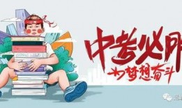 新宇星城爆料最新消息新闻,揭秘神秘项目进展与影响