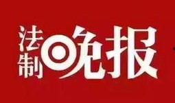 仙迪股份爆料新闻视频,内幕交易疑云重重