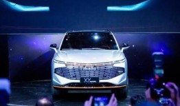 哈佛最新爆料新闻视频