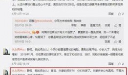 汉欧厂员工爆料视频真实,揭秘工厂真实工作环境与待遇