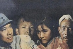 黄土地在线观看,探寻黄土高原的沧桑变迁