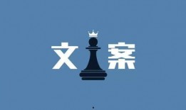 励志新闻爆料怎么写文案,平凡人生绽放不凡光芒，揭秘成功背后的奋斗故事