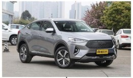 哈佛最新爆料新闻视频