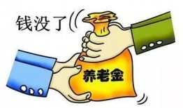 济南爆料最新消息新闻,突发事件引发社会关注