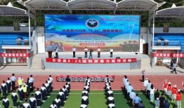 四二六在线观看,揭秘网络热剧背后的故事与魅力