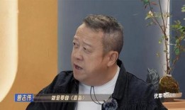 吴镇宇爆料刘德华视频,背后故事令人震惊
