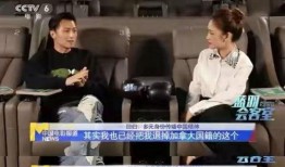 娱乐圈吃瓜双人解说视频,吃瓜达人双人解说带你领略幕后风云