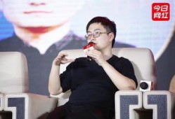 王岩直播爆料视频大全,揭秘视频大全背后的精彩瞬间