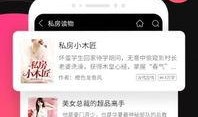 小说桃桃吃瓜免费阅读无弹窗,揭秘娱乐圈背后的秘密