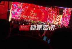 狗年春晚 在线观看,在线观看重温欢乐时光