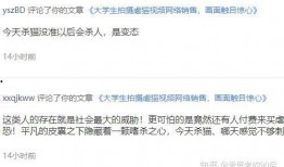 独家爆料原视频在哪看啊,原视频藏身何处，带你一探究竟！