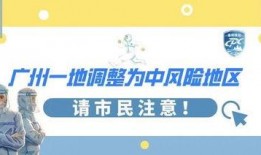 疾控中心爆料新闻视频大全,新闻视频大全深度解析