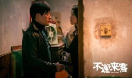 隐秘来客在线观看,揭秘神秘访客背后的惊悚故事