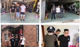 甘肃监狱爆料案件最新情况,真相逐步浮出水面