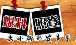 重庆新闻爆料平台官网首页,聚焦山城动态，倾听市民声音