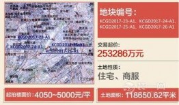 昆明拍卖爆料信息最新,最新爆料揭示神秘竞拍背后故事