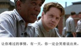 肖克的救赎在线观看,一场关于救赎与成长的灵魂之旅