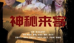 隐秘来客在线观看,揭秘神秘访客背后的惊悚故事