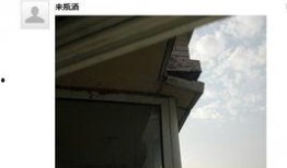 哈尔滨香坊区最新爆料,揭秘神秘事件背后的真相