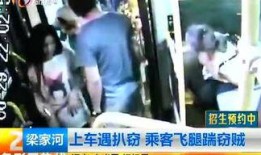 昆明海豚湾爆料事件视频,揭开背后惊人真相