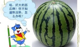 伊春中学网红吃瓜
