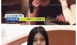 网友爆料保姆事件视频播放,一场家庭悲剧引发的深思