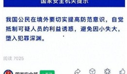 中国国安局最新爆料视频,深度解析中国网络安全防线