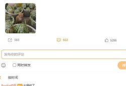 童瓜最新爆料在线观看,揭秘娱乐圈幕后真相，在线观看不容错过！