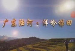 陆河新闻爆料最新情况视频,视频揭秘事件真相