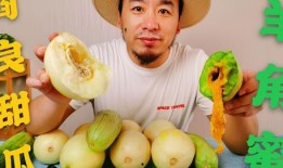 吃网红黄色大瓜,真相与争议背后的网络狂欢