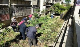 沾益最新爆料消息新闻,揭秘重大事件背后真相