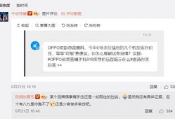 柬埔寨高管爆料视频大全,揭秘企业内幕与行业真相