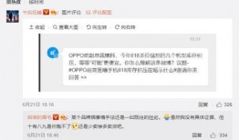 柬埔寨高管爆料视频大全,揭秘企业内幕与行业真相