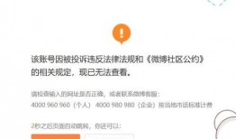 娱乐爆料博主直播视频,娱乐爆料博主独家爆料，精彩瞬间一网打尽！