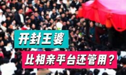 开封王婆最新爆料
