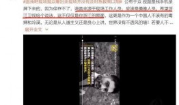 光子工作员爆料视频播放,视频播放背后的惊人真相