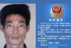 吴新宇案件最新爆料,惊人内幕揭露与真相再起波澜