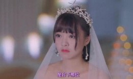 本家的新娘在线观看,一场跨越时空的浪漫邂逅