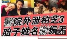 娱乐吃瓜名字怎么取的呀