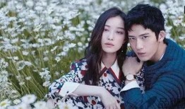 爆料井柏然视频,揭秘明星背后的真实生活