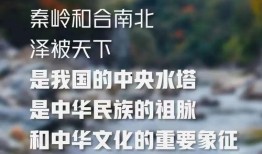 西安早安爆料事件视频,视频揭露惊人真相